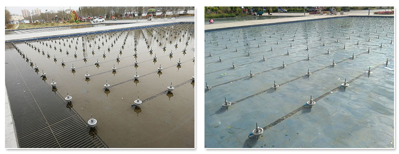 1564385780336248.jpg 2.jpg